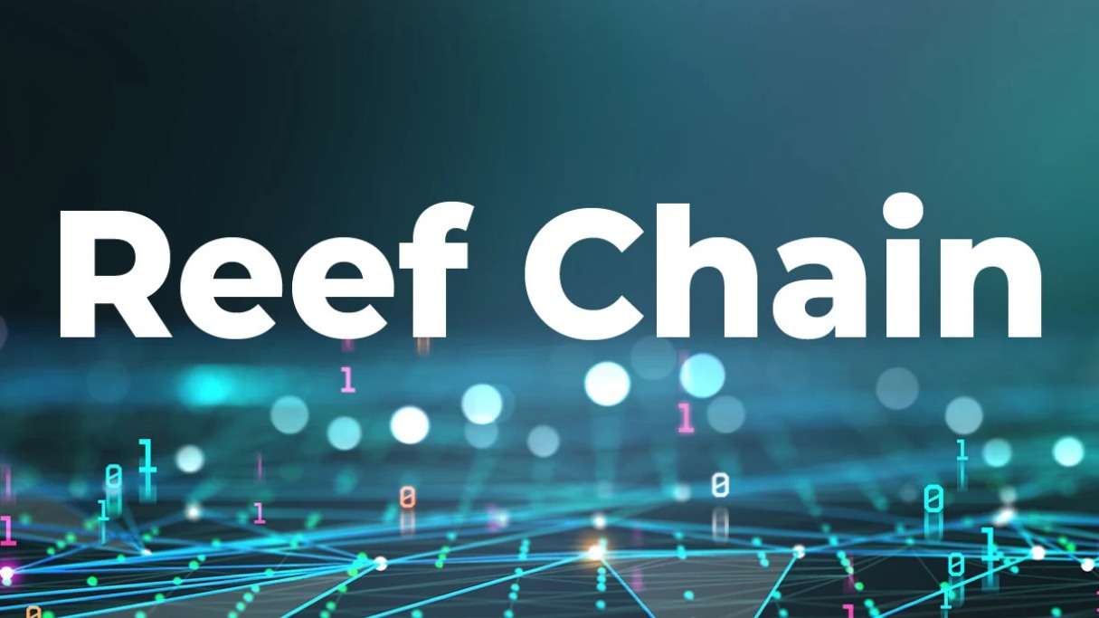 نوشته ریف چین Reef Chain