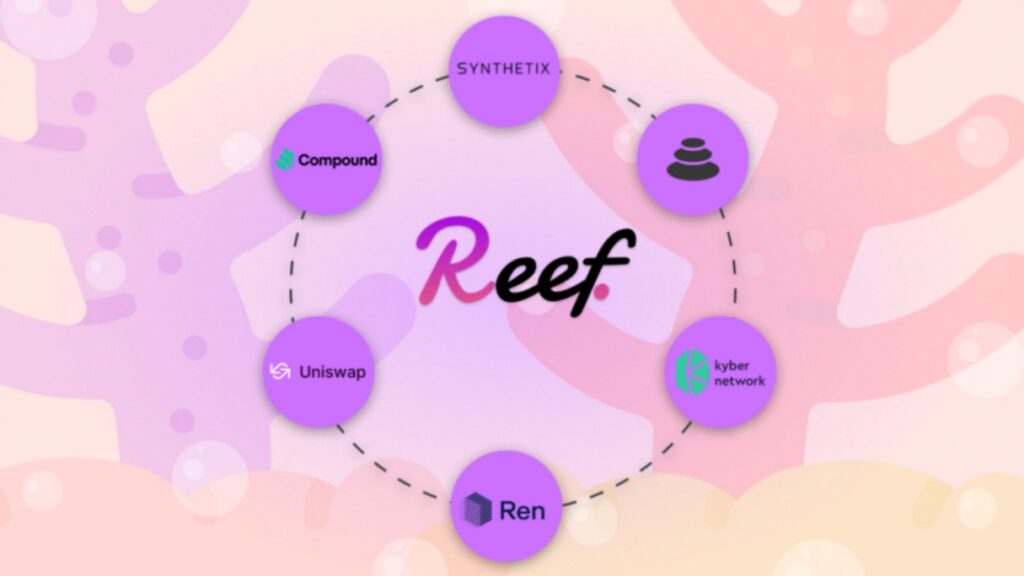 نمای پروتکل Reef و قابلیت‌ها