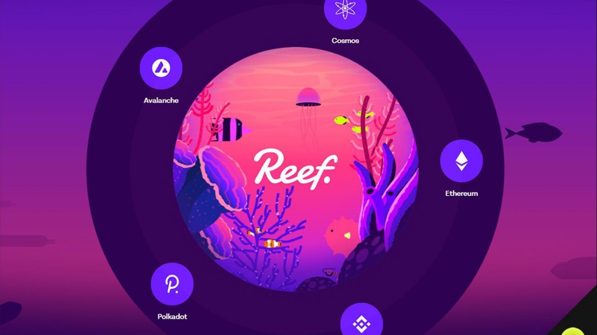 اکوسیستم ریف Reef