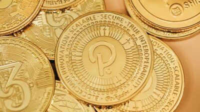 ارز دیجیتال پولکادات یک پروژه ارز دیجیتال است که هدف اصلی آن، اتصال بلاک‌چین‌ها یا شبکه‌های گوناگون به یکدیگر است.