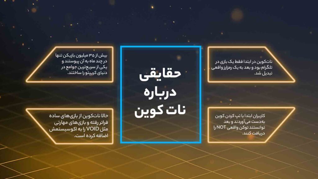 اینفوگرافی حقایق درباره نات کوین