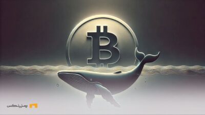 لیکوئید شدن یک نهنگ با ثبت اوج تاریخی جدید بیت کوین