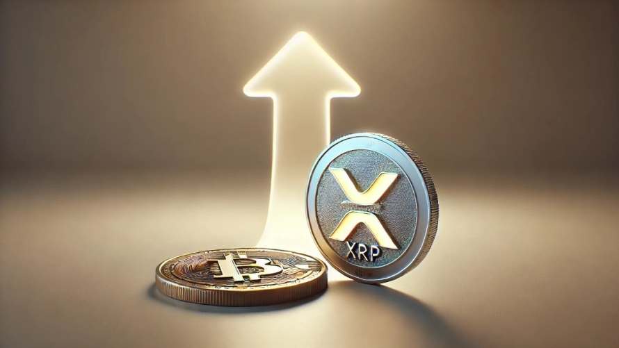 مدیرعامل ریپل: قیمت ریپل میتواند به بیتکوین برسد