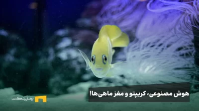 هوش مصنوعی، بازار کریپتو و مغز ماهیها!