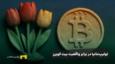 تولیپمانیا در برابر واقعیت بیت کوین