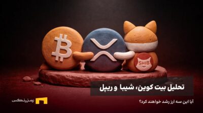 شیبا و ریپل و بیت کوین یکدیگر را بغل کردهاند.